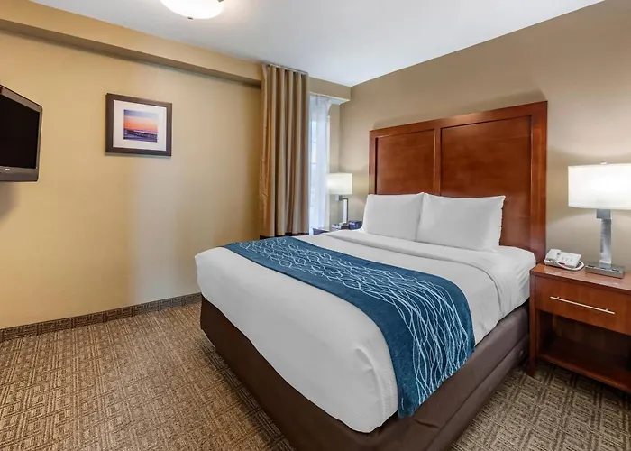 Comfort Inn & Suites Ventura Beach