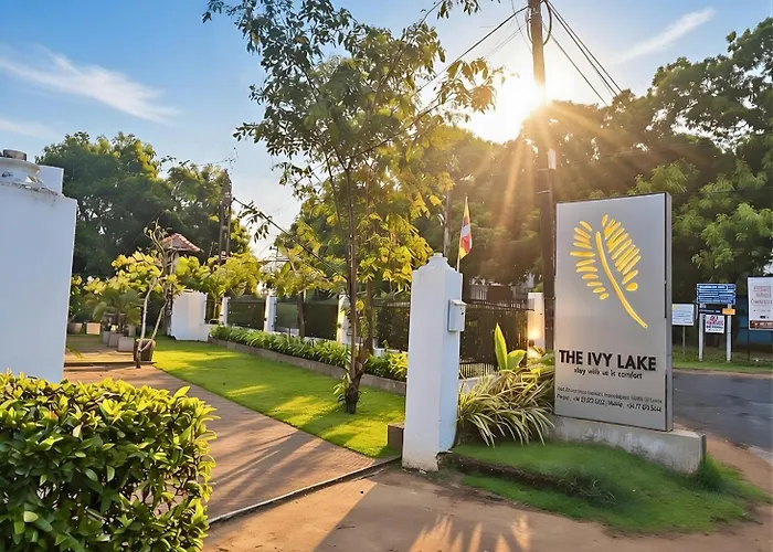 The Ivy Lake