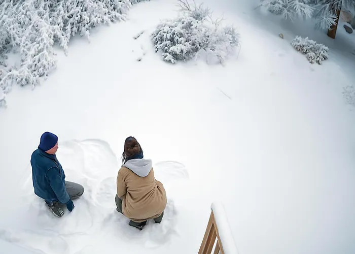 Snow Bunny Cottage, Pets Welcomed!