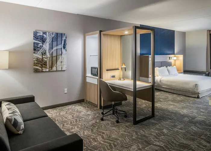 Springhill Suites By Marriott Canfield