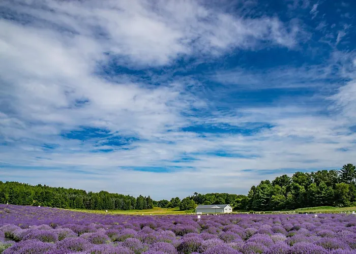 L Studio Close To Downtown Beaches Wineries