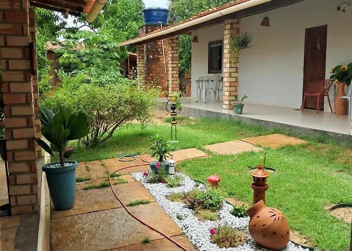 aguapé 1