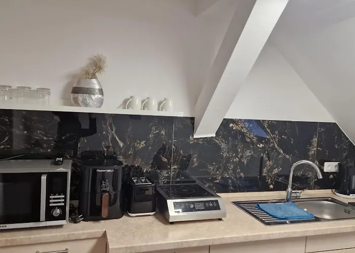 CT Apartment Wurzen