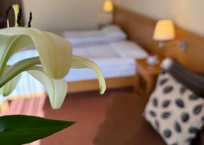 Hotel - Restaurant Gonduzo