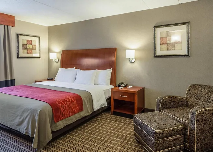 Comfort Inn & Suites West Springfield