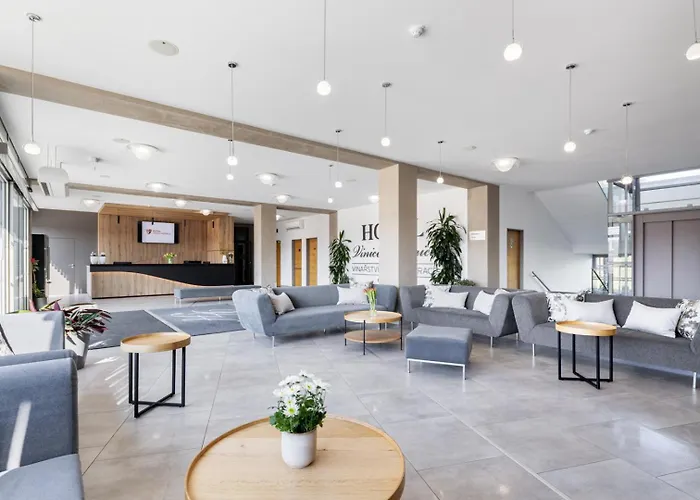 Hotel Vinice Hnanice