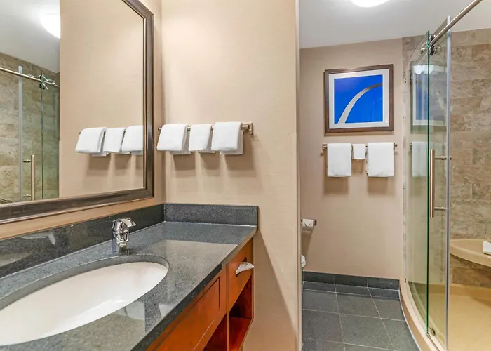 Drury Plaza Hotel St Louis Brentwood