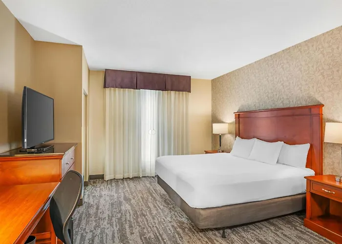 Drury Plaza Hotel St Louis Brentwood
