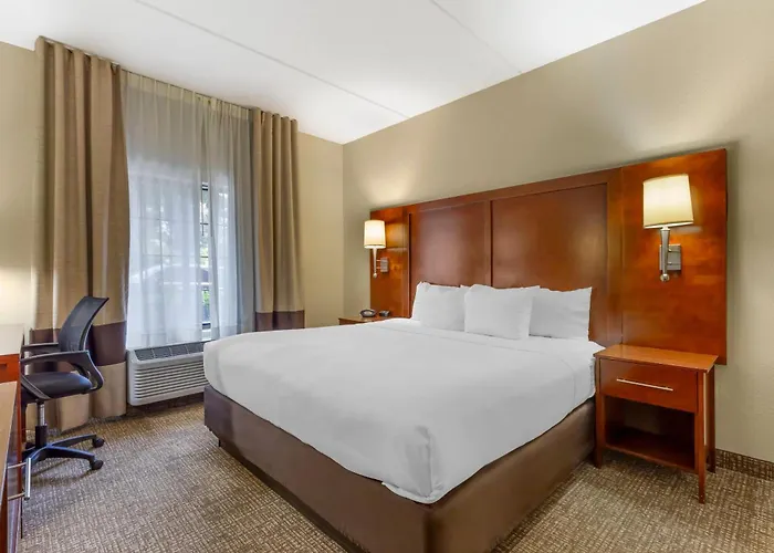 Comfort Suites Regency Park