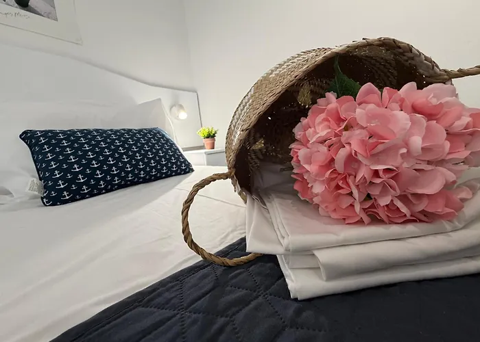 Nautilus City Studios & Apartments