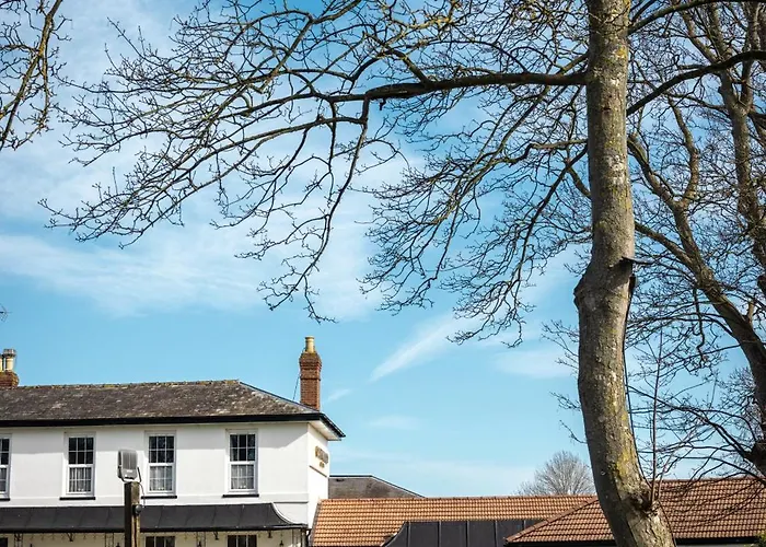 The Oakwood Hotel