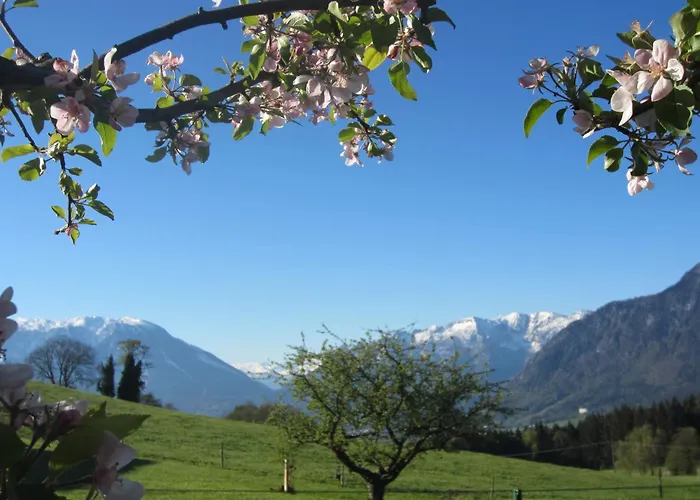 Kochhof