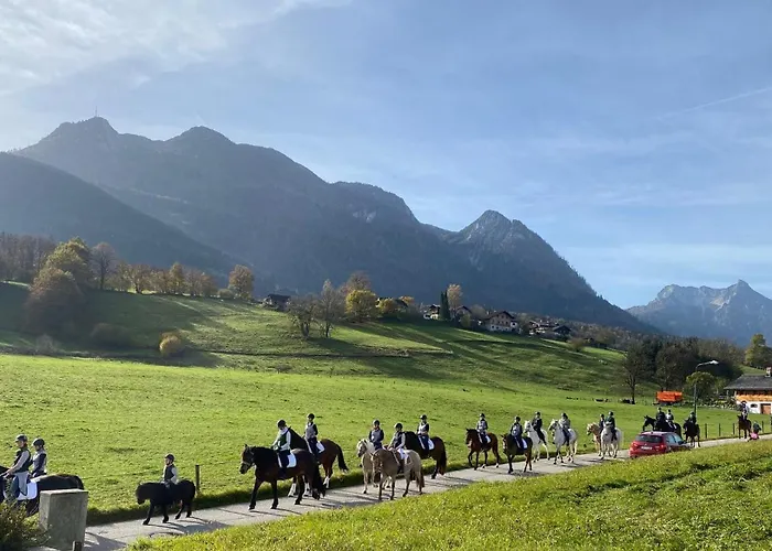 Auszeit Salzkammergut Appartements