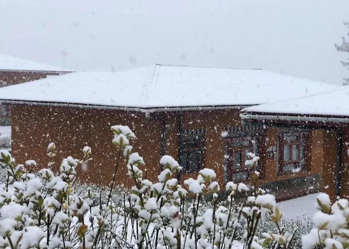 Risum Resort