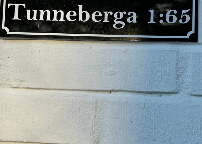 Tunneberga 1 65