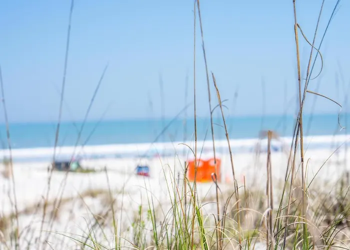 The Beach Club St Augustine By Coolvacay
