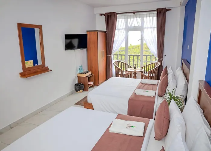 The Mount View Single Tree Hotel