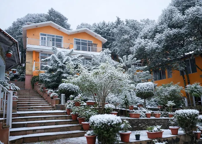 Essence Of Nature, Ranikhet