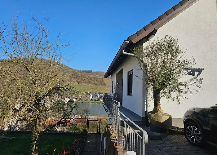MV Römerlodge mit einmaligem Moselpanoramablick