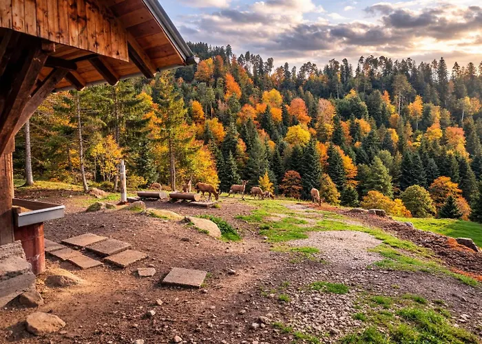 Panoramablick Bermersbach