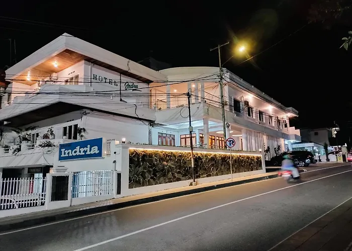 Hotel Indria