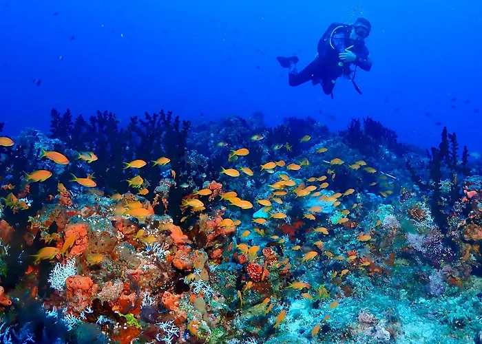 Afro Divers Lodge
