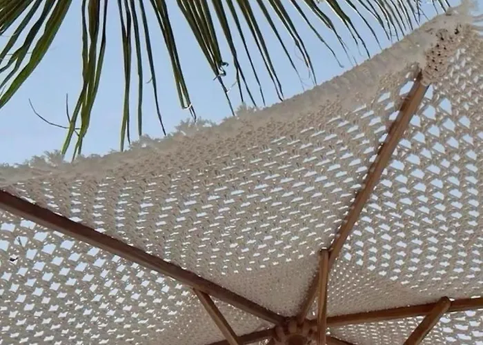 Cocoon Signature