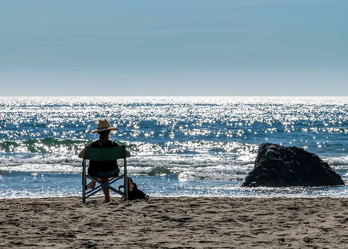 Beach Bum Retreat