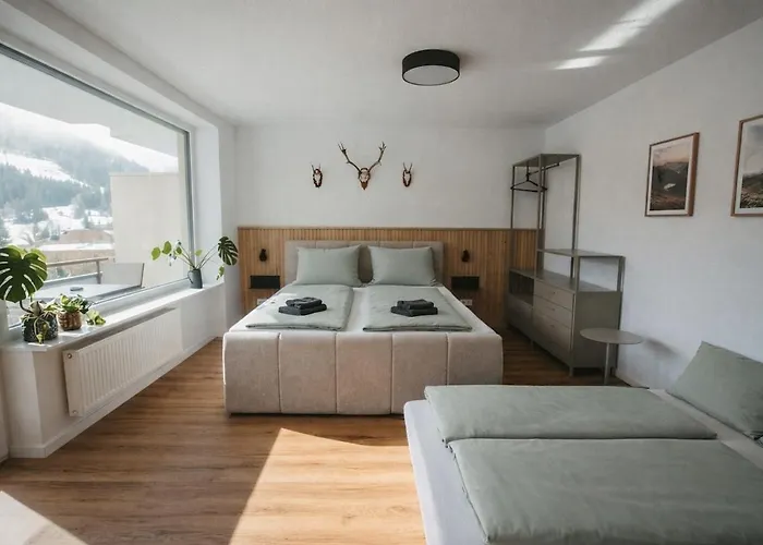 Schwarzwald Loft Bergblick