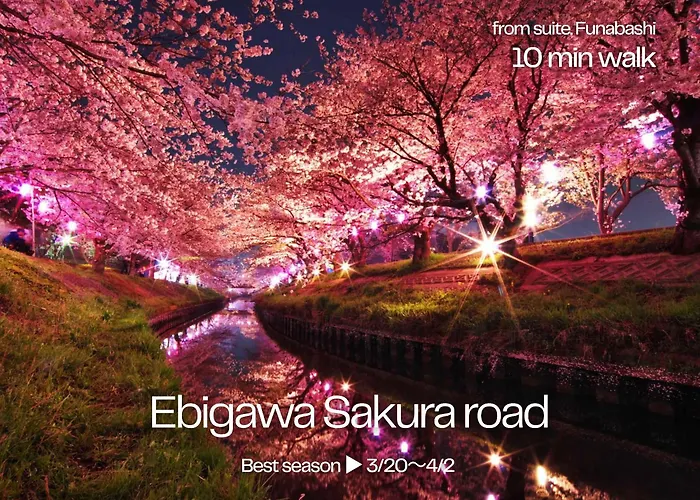 suite Funabashi SAKURA1 #102