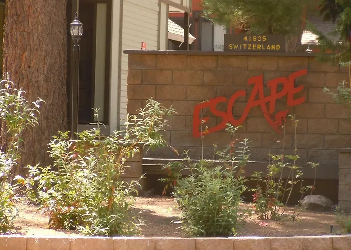 Escape For All Seasons Unit 23
