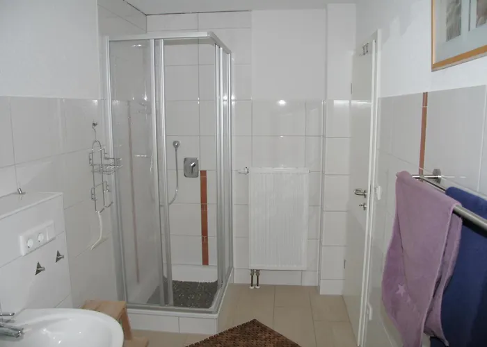 Ferienwohnung Rheingeschaut