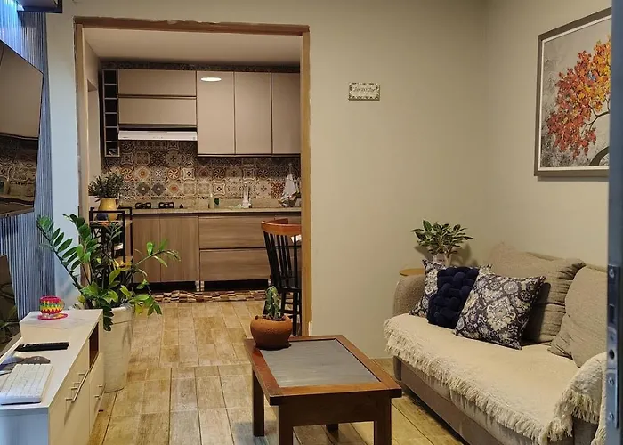 Chico'S House
