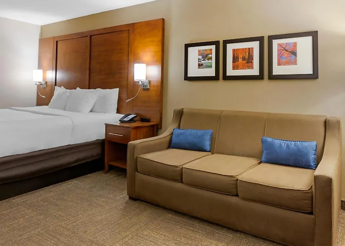 Comfort Inn & Suites Presidential