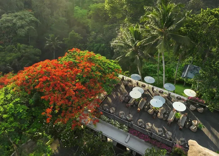 Maya Ubud Resort & Spa