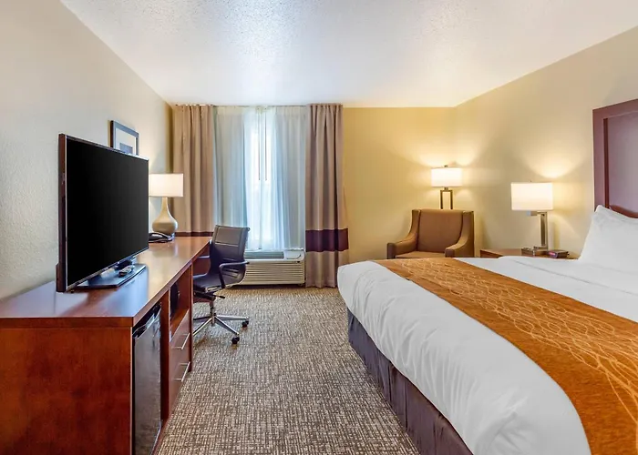 Comfort Inn Dekalb - University Area