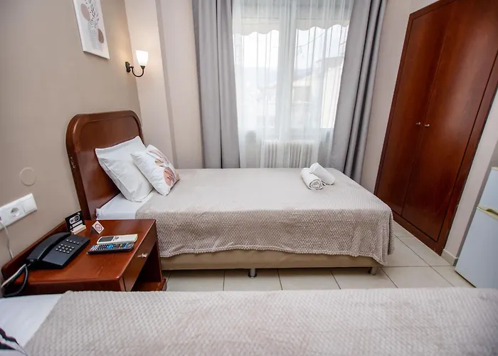 Hotel Strimoniko