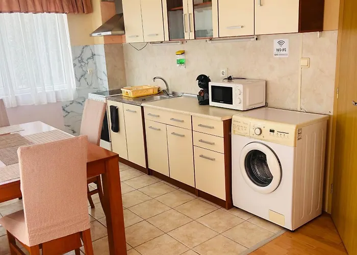 Apartments for guests Einstein