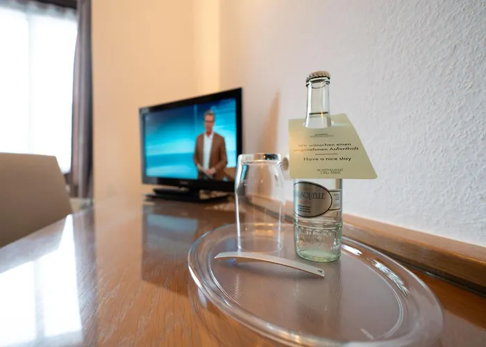 Hotel Baeren