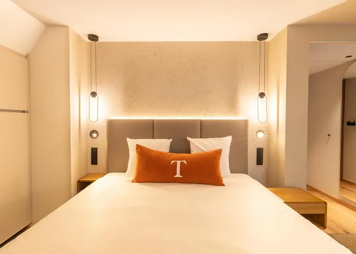 Hotel Maison Turenne Colmar