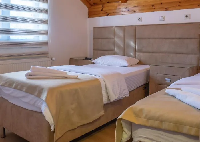 Hotel Pavlovic