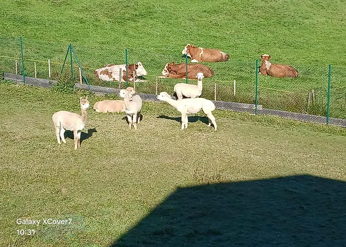 Bauernhof König