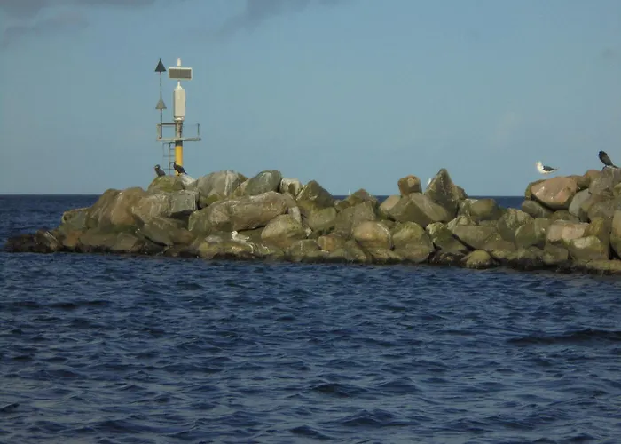 Ostseemuschel