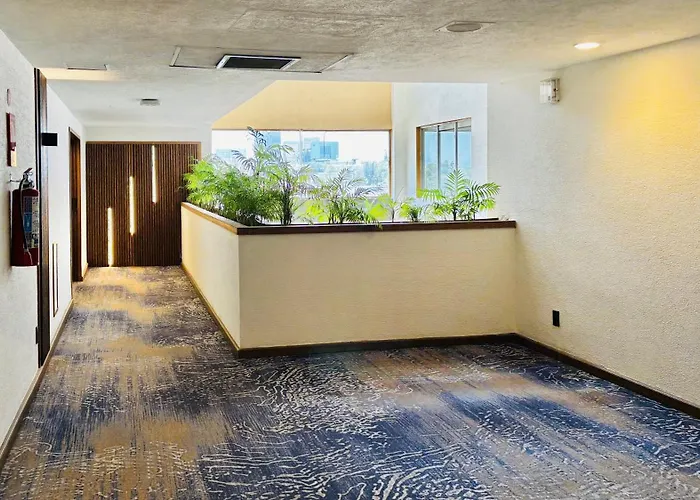 Hotel Guadalajara Plaza Ejecutivo Lopez Mateos Zapopan