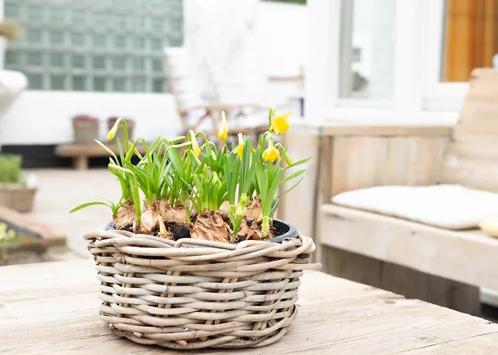 Welcome In - Vakantiewoning Met Ruime Tuin En Open Haard I Horizon 3 Renesse