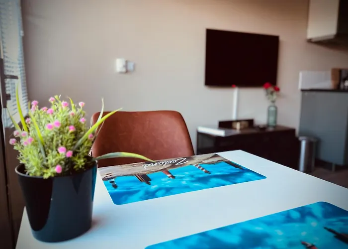 Flamingo Studio'S Zeeland
