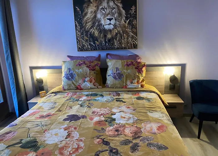 Mallo'S Lodge Avec Parking Gratuit Et 2 Balcons