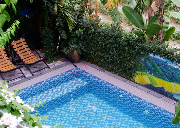 Tam Coc Viet Ha Homestay