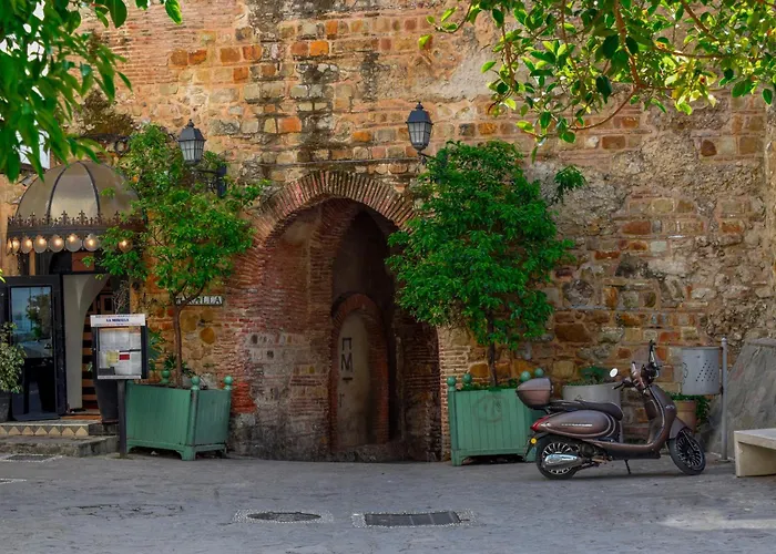 Riad Amr