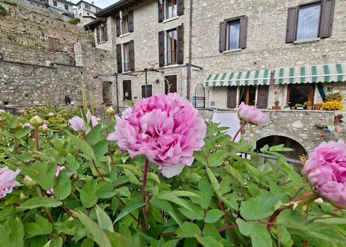 Casa Johanna